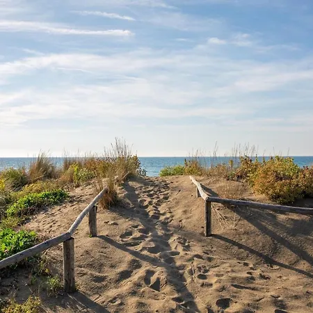 Azalea * Castagneto Carducci