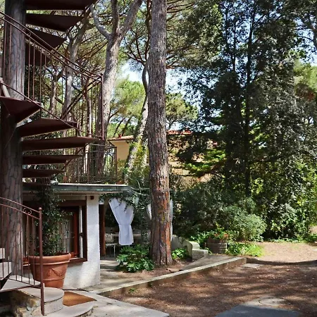 Azalea Villa Castagneto Carducci