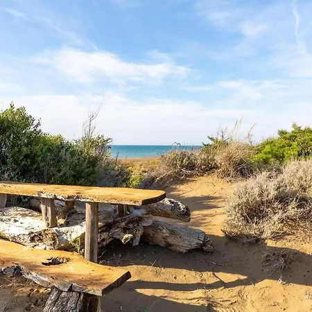 Azalea Villa Castagneto Carducci