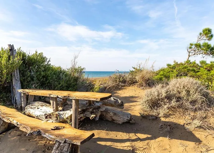 Azalea Villa Castagneto Carducci
